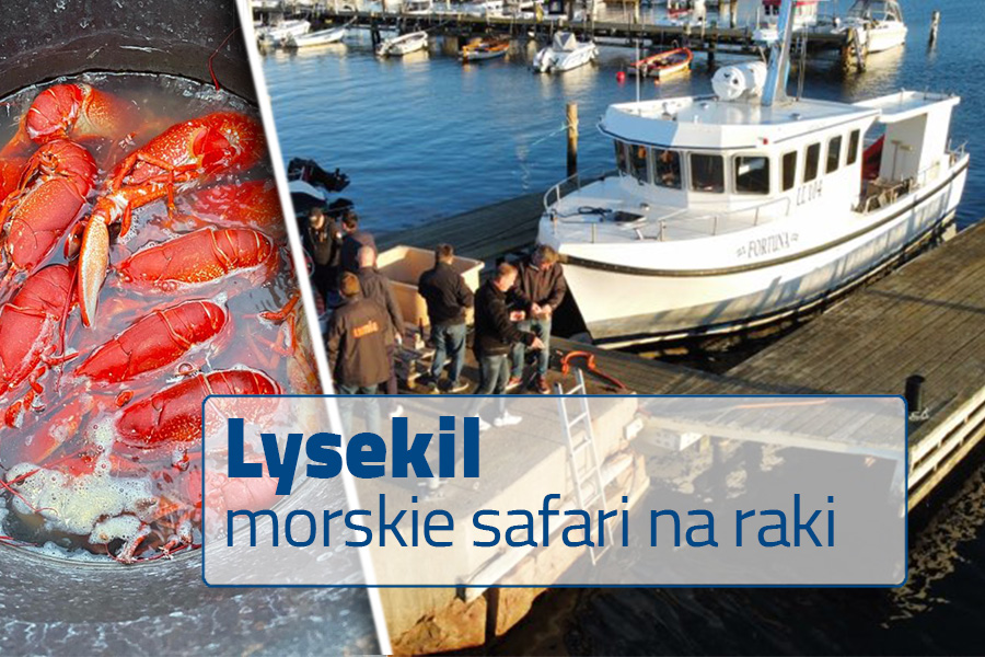 Lysekil morskie safari na raki